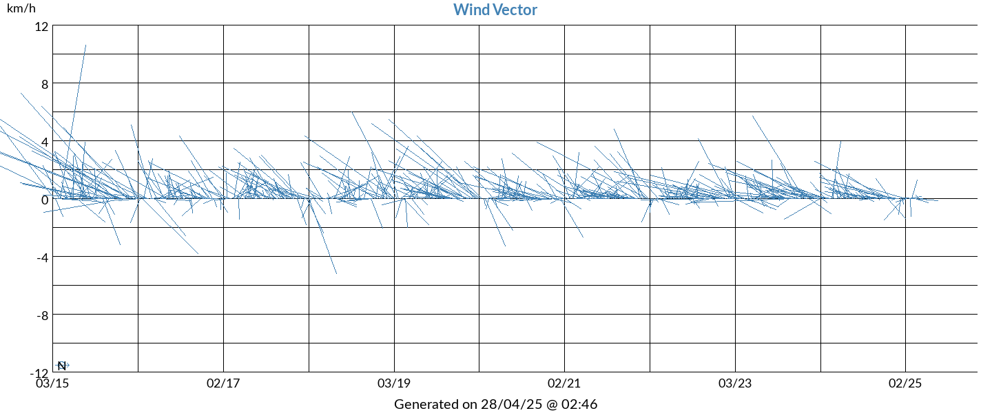 10 Years wind vector